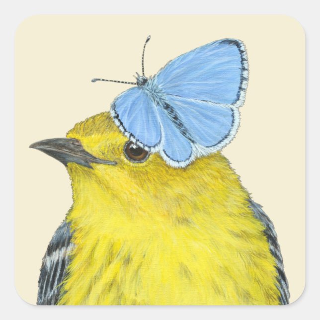Pine warbler stickers (Front)