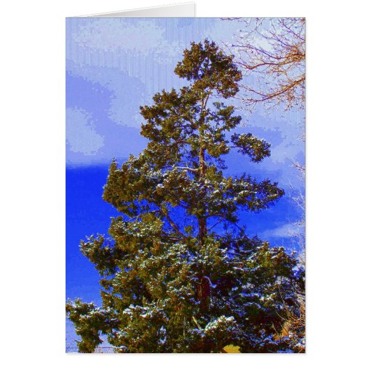 Pine with Pixilated Sky Cards (Front)