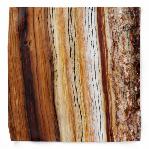 Pine Wood Grain Pattern Bandana