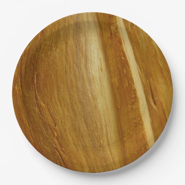 Pine Wood II Faux Wooden Texture Paper Plates (Front)