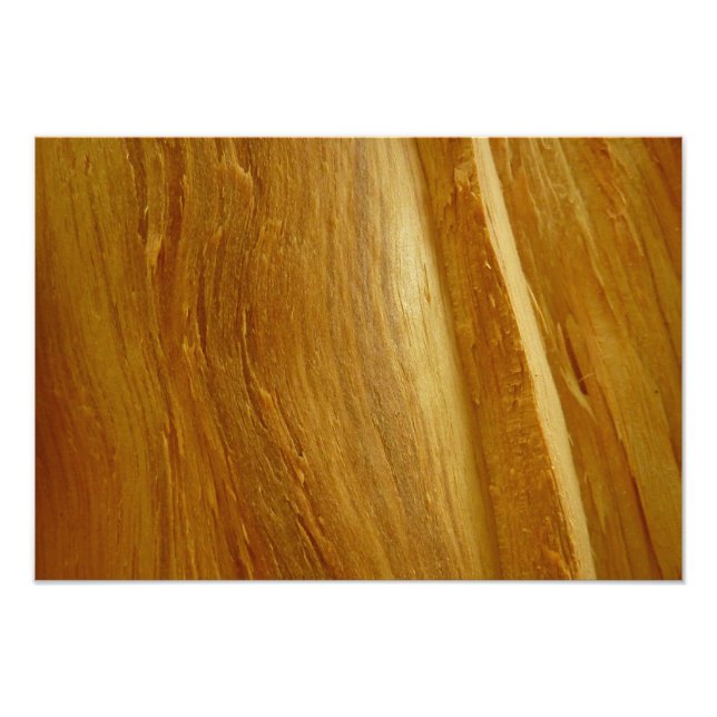 Pine Wood II Faux Wooden Texture Photo Print (Front)