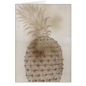 Pineapple, (Front)