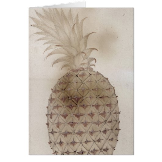 Pineapple, (Front)