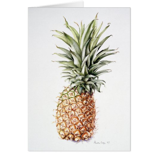 Pineapple 1997 cards (Front)