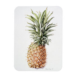 Pineapple 1997 magnet