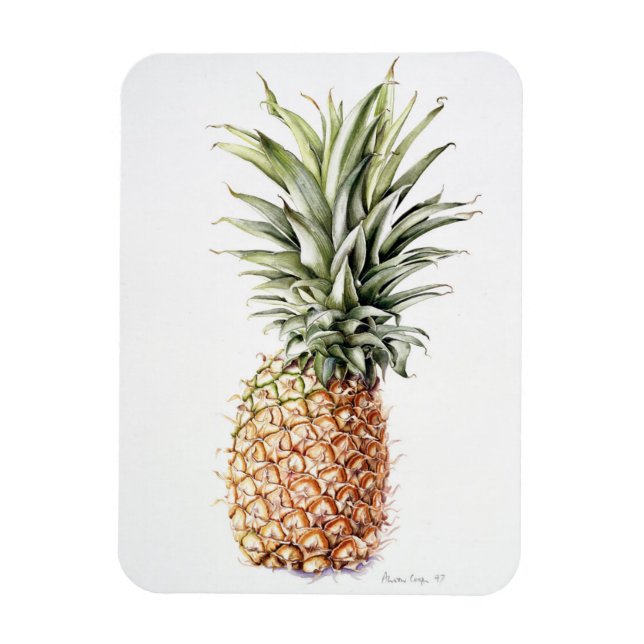 Pineapple 1997 magnet (Vertical)