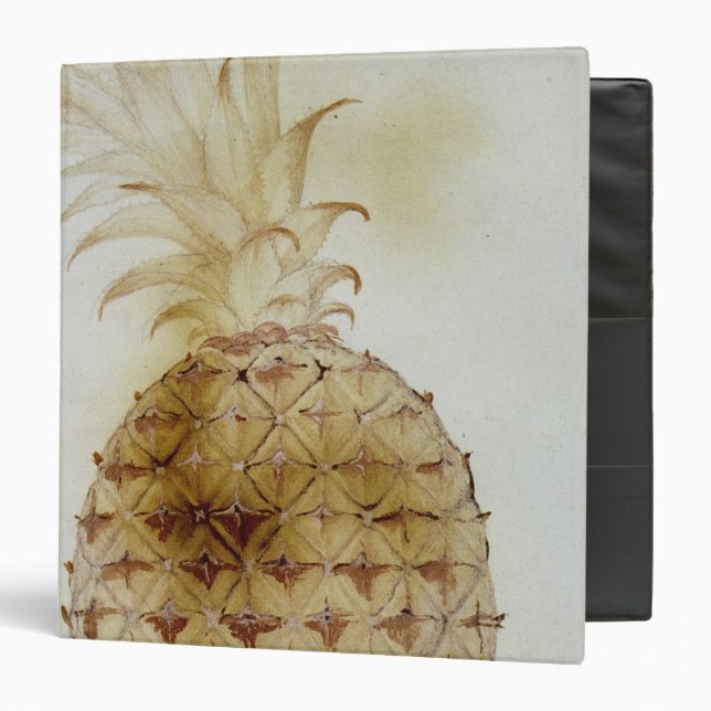 Pineapple 3 Ring Binder (Front/Inside)