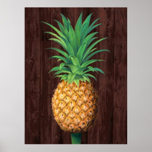 Pineapple Botanical Illustration against Mahogany Poster