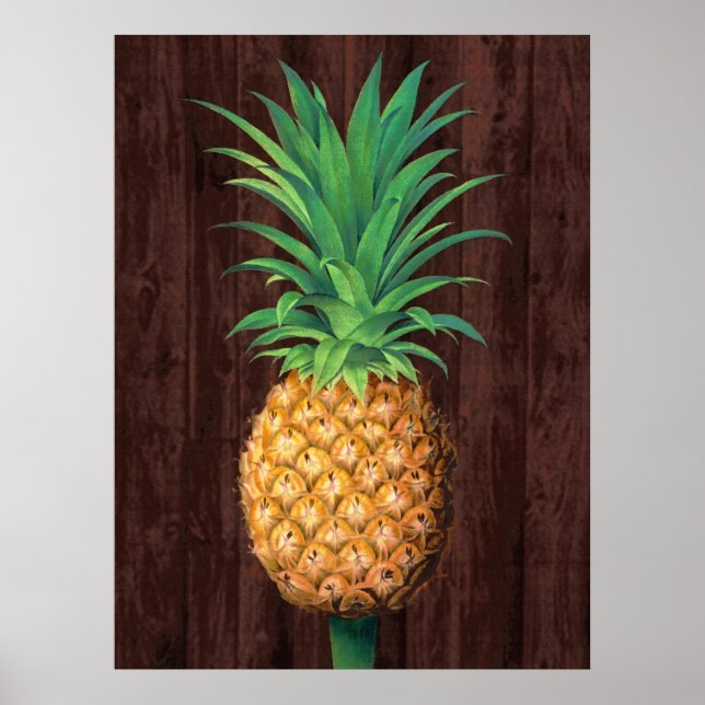Pineapple Botanical Illustration against Mahogany  Poster (Front)
