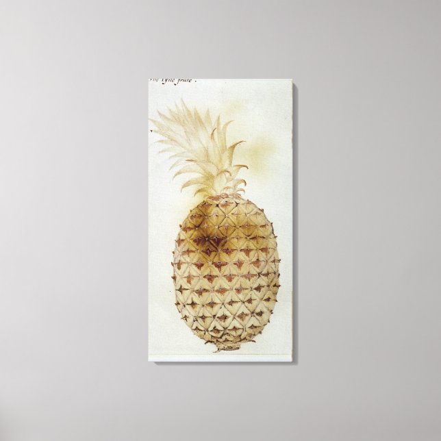 Pineapple Canvas Print (Front)