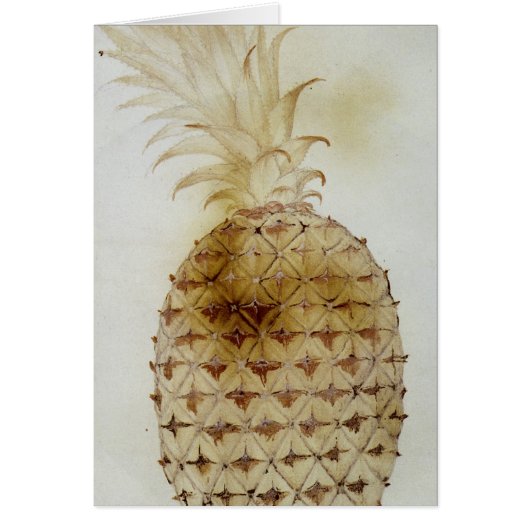 Pineapple Cards (Front)