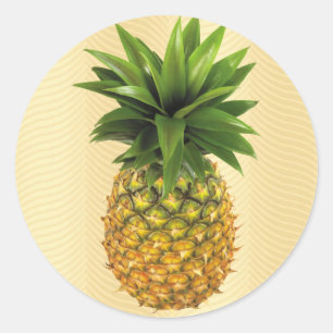 Pineapple Classic Round Sticker