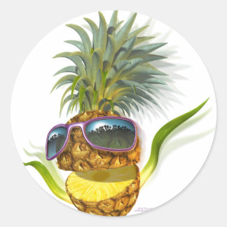 pineapple classic round sticker