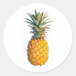 pineapple classic round sticker