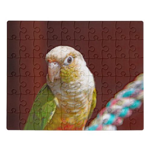 Pineapple Conure Jigsaw Puzzle