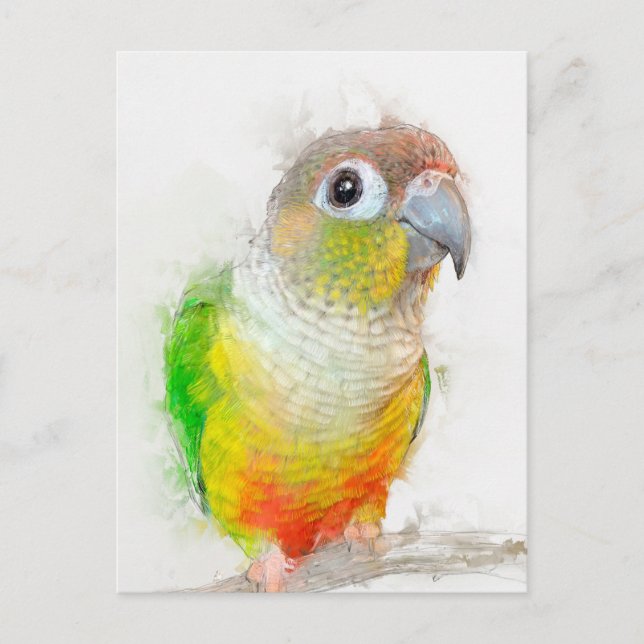 Pineapple Conure Portrait Postcard (Front)