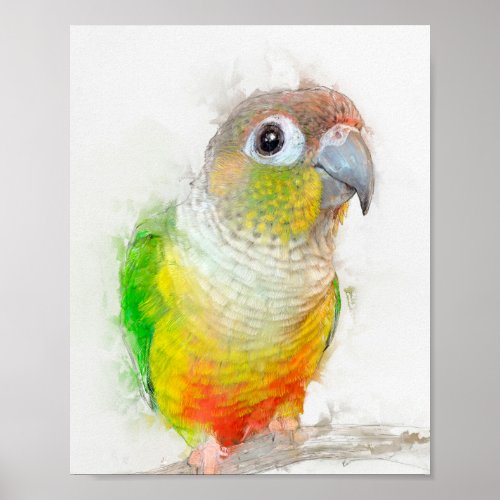 Pineapple Conure Portrait Poster