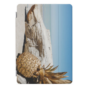pineapple dessert iPad pro cover