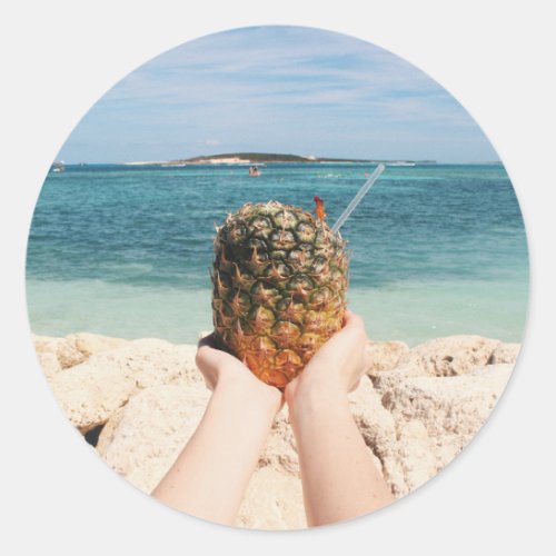pineapple dessert sea classic round sticker