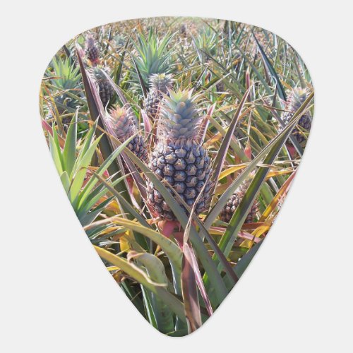 Pineapple Field Guitar Pick