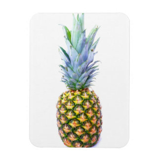Pineapple Fruit Beach Dessert Colorful Tropical Magnet