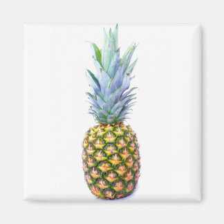 Pineapple Fruit Beach Dessert Colorful Tropical Magnet