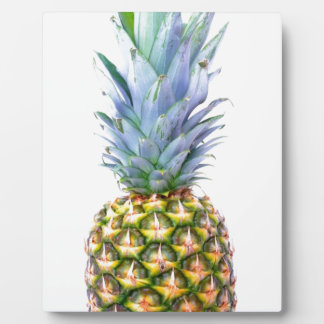 Pineapple Fruit Beach Dessert Colorful Tropical Plaque