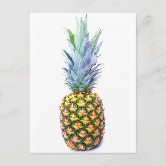 Pineapple Fruit Beach Dessert Colorful Tropical Postcard (Front)