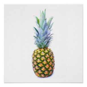 Pineapple Fruit Beach Dessert Colorful Tropical Poster