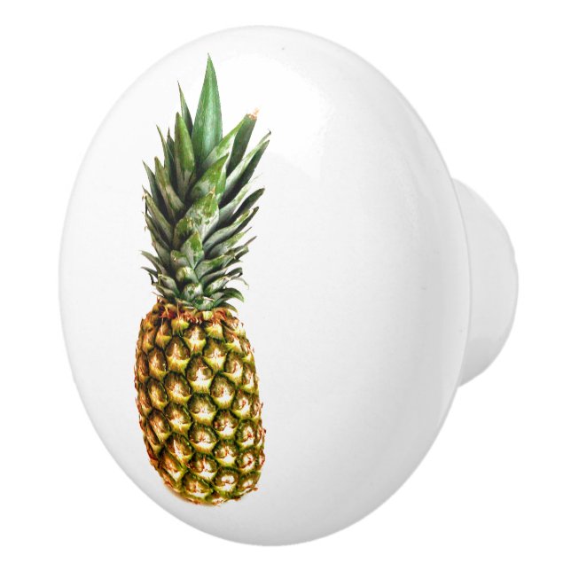Pineapple fruit photo door and drawer pull knobs (Right)