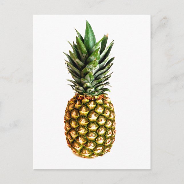 Pineapple fruit print postcards (Front)