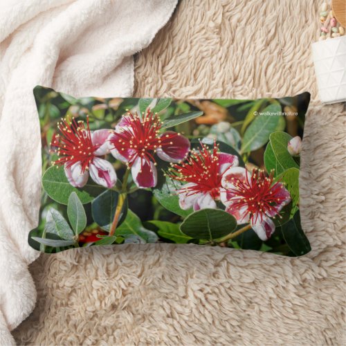 Pineapple Guava  Guavasteen Flowers Lumbar Pillow