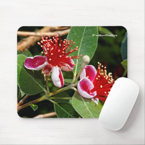 Pineapple Guava  Guavasteen Flowers Mouse Pad