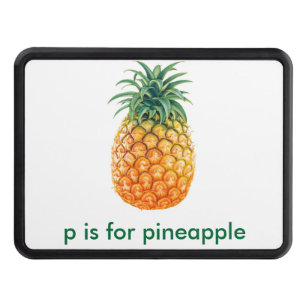 Pineapple Hitch Cover
