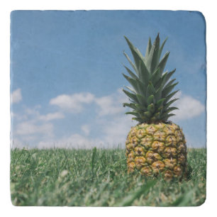 Pineapple in a Field Trivet