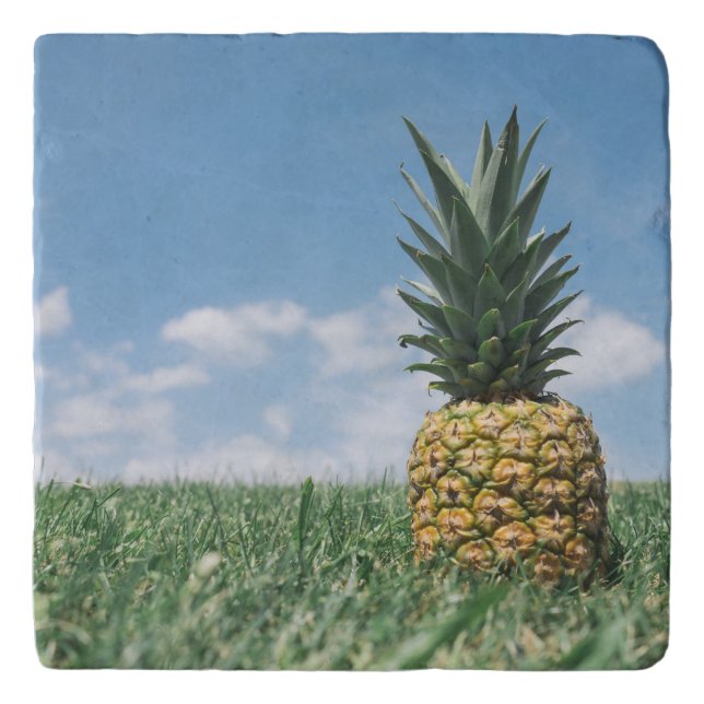 Pineapple in a Field Trivet (Front)