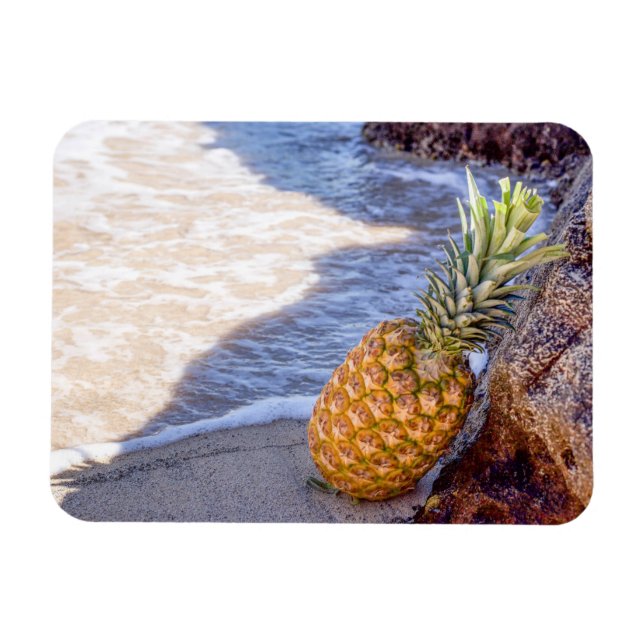 Pineapple Leaning on Rocks at the Beach Magnet (Horizontal)