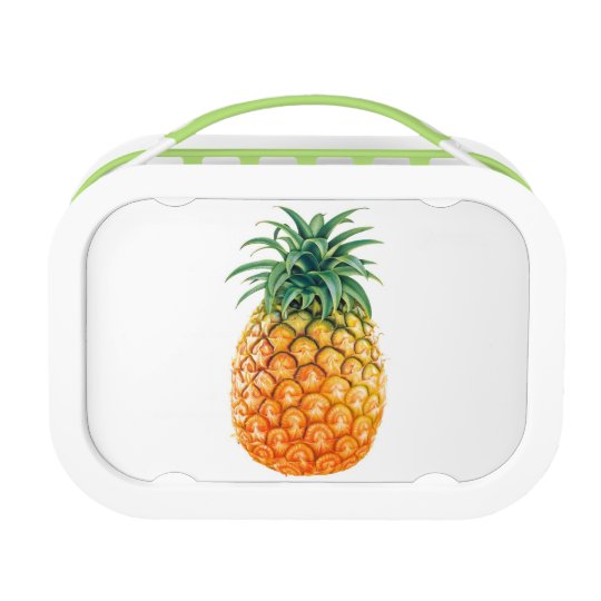 vera bradley pineapple lunch box