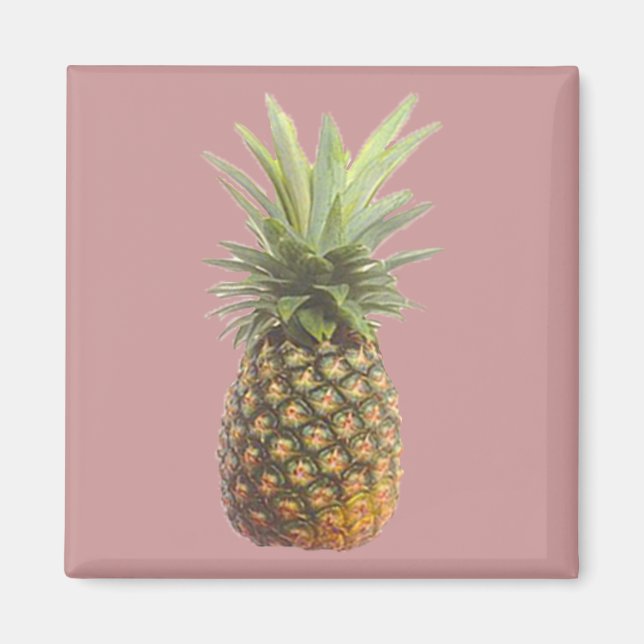 Pineapple Magnet (Front)
