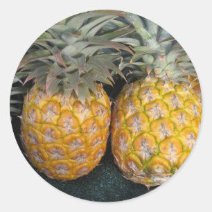 Pineapple Paradise Classic Round Sticker