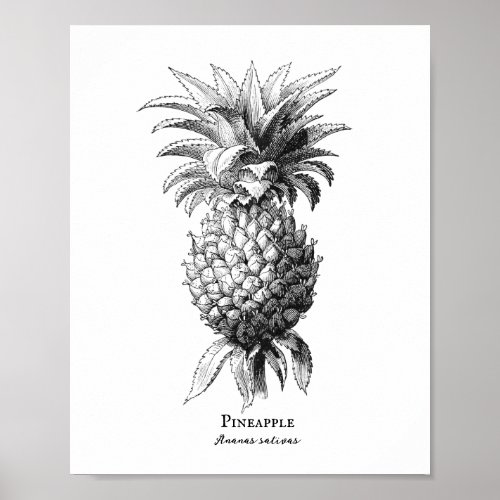 Pineapple  poster