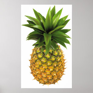 Pineapple Poster