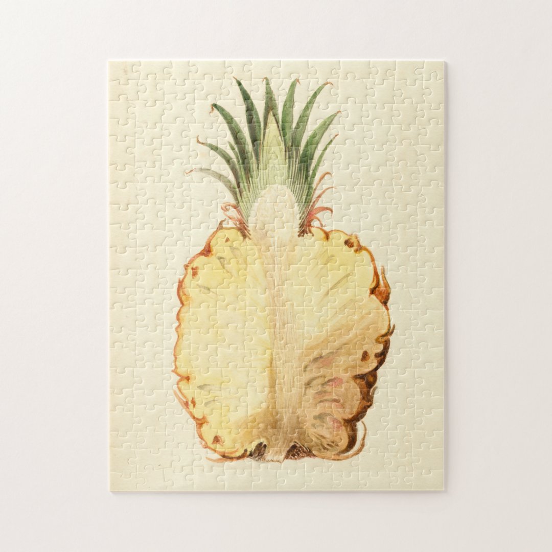 Pineapple Sliced in Half Vintage Illustration Jigsaw Puzzle Zazzle