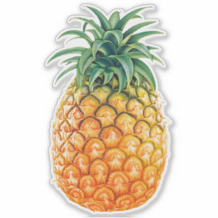 Pineapple Sticker