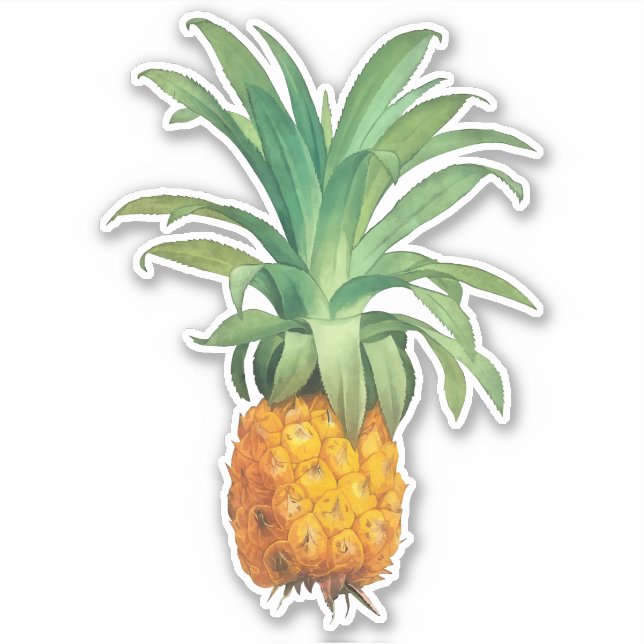 Pineapple Sticker (Front)