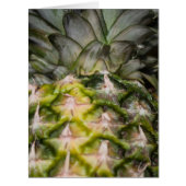 Pineapple texture (Front)