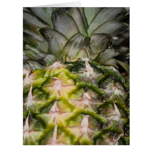Pineapple texture cards (Front)