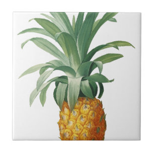 Pineapple Tile