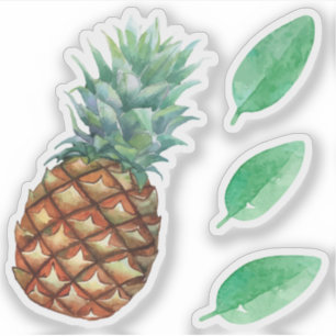 Pineapple Tropical fruits & leaf watercolor paint Sticker