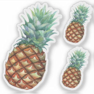 Pineapple Tropical fruits & leaf watercolor paint Sticker